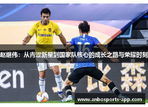 赵继伟：从青涩新星到国家队核心的成长之路与荣耀时刻
